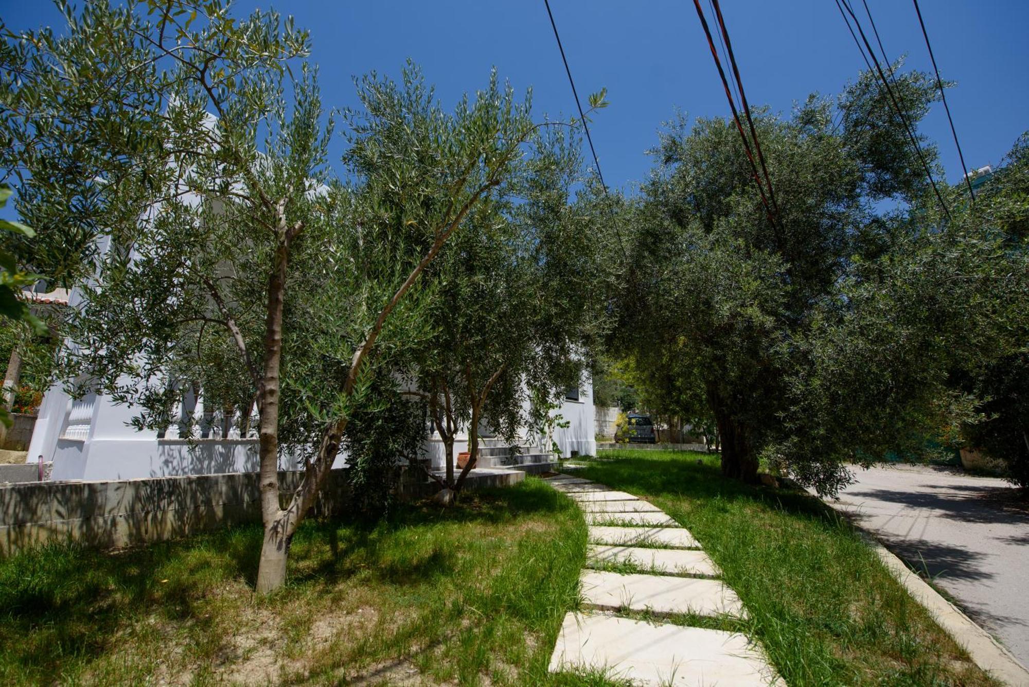 Olivium Rooms Vlore Bagian luar foto
